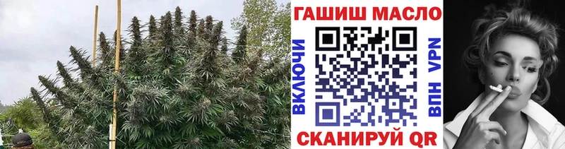ТГК THC oil  ссылка на мегу сайт  Куса 