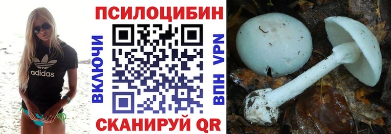 mega рабочий сайт  Куса  Псилоцибиновые грибы прущие грибы  цена наркотик 